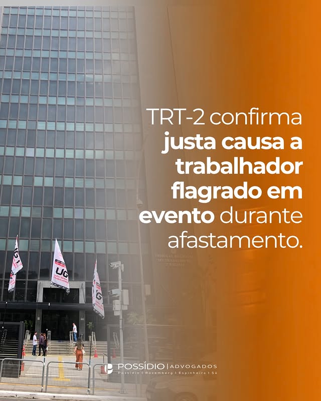Postagem 8